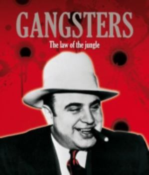 Hardcover Gangsters (Picture This) Book