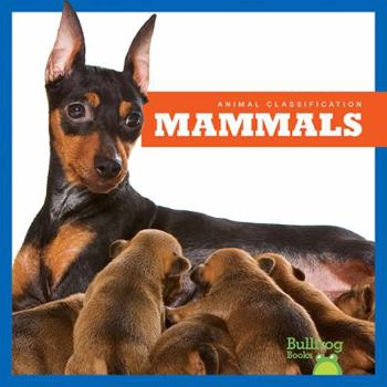 Mammals - Book  of the Clasificación de los Animales / Animal Classification