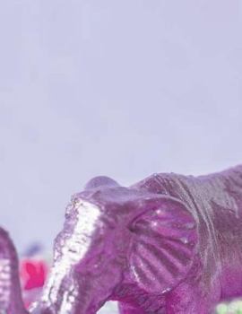 Paperback Notebook Large Size 8.5 x 11 Ruled 150 Pages Book