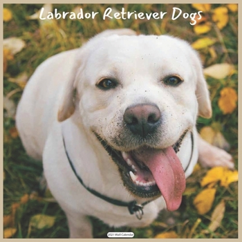 Paperback Labrador Retriever Dogs 2021 Wall Calendar: Official Labrador Retriever Wall Calendar 2021 Book
