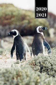 Penguin Puffin Antarctica Seabird Week Planner Weekly Organizer Calendar 2020 / 2021 - Side by Side: Cute Wildlife Animal Pet Bullet Journal Notebook Diary in 6” x 9” Inch Pocket Size