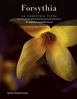 Paperback Forsythia: 10 Forsythia Types Book