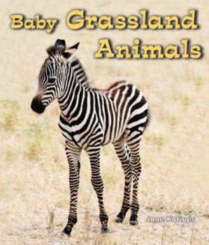 Baby Grassland Animals - Book  of the All About Baby Animals