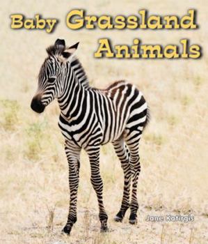 Paperback Baby Grassland Animals Book