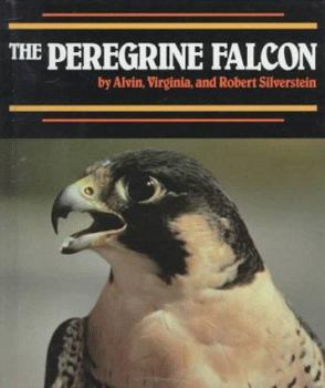 Library Binding The Peregrine Falcon Book