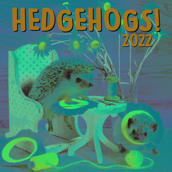 Hedgehogs 2022 Wall Calendar