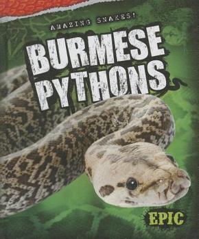 Library Binding Burmese Pythons Book