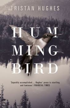 Paperback Hummingbird Book