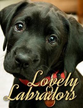 Paperback Lovely Labradors Book