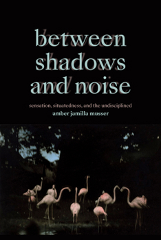 Hardcover Between Shadows and Noise: Sensation, Situatedness, and the Undisciplined Book