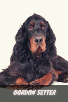 Paperback Gordon Setter: Complete breed guide Book