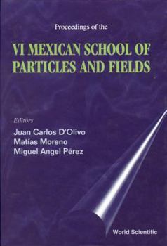 Hardcover Particles and Fields - Proceedings of the VI Mexican School Book