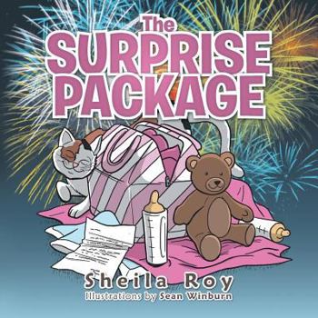 Paperback The Surprise Package Book