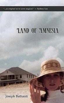 Paperback Land of Amnesia Book