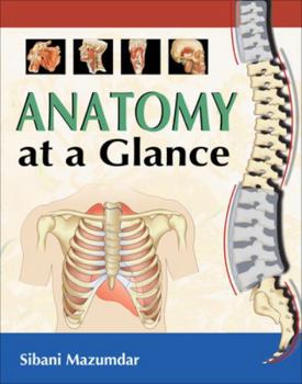 Paperback Anatomy at a Glance Book