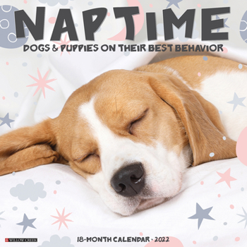 Calendar Dog Naps 2022 Wall Calendar Book