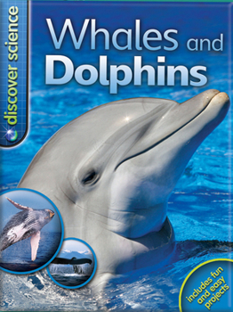 Paperback Whales and Dolphins Book