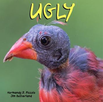 Paperback Ugly Book