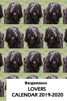 Paperback Bergamasco Lovers Calendar 2019-2020 Book