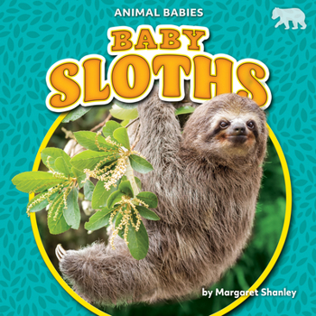 Library Binding Baby Sloths Book