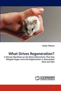 Paperback What Drives Regeneration? Book