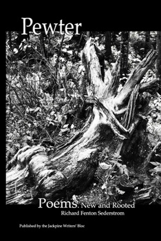 Paperback Pewter Book