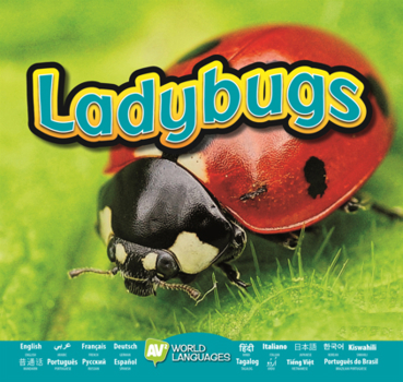 Ladybugs