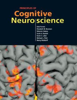 Hardcover Principles of Cognitive Neuroscience Book