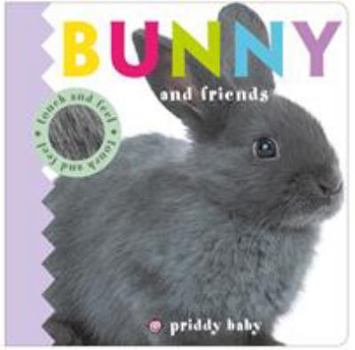 Board book Bunny and Friends Book
