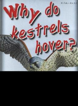 Why Do Kestrels Hover?