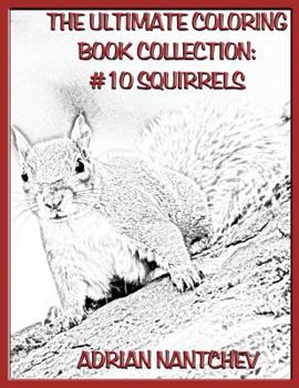 Paperback The Ultimate Coloring Book Collection #10 Squirrels Book