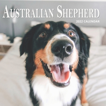Paperback Australian Shepherd: 2022 Calendar Book