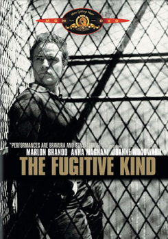 DVD The Fugitive Kind Book