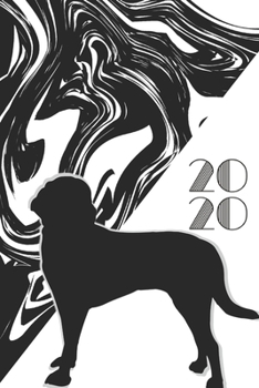2020: 2020 Sunday Start Monthly Calendar and Organizer | Beagle Mix Dog Gift for Women