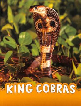 Paperback King Cobras Book