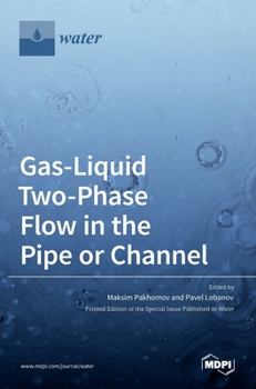 Hardcover Gas-Liquid Two-Phase Flow in the Pipe or Channel Book