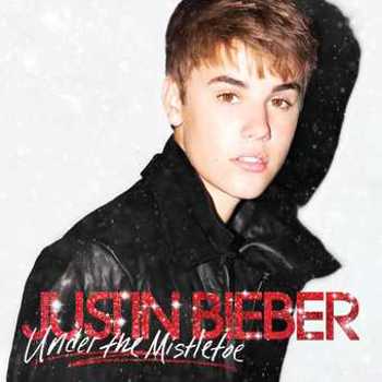 Vinyl Under The Mistletoe (LP) Book