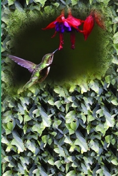 Paperback Good Days Start Book