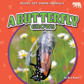 A Butterfly Grows