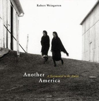 Hardcover Robert Weingarten: Another America Book