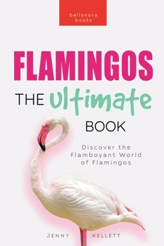 Flamingos: Discover the Flamboyant World of Flamingos
