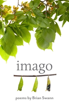 Paperback Imago Book