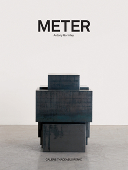 Hardcover Antony Gormley: Meter Book