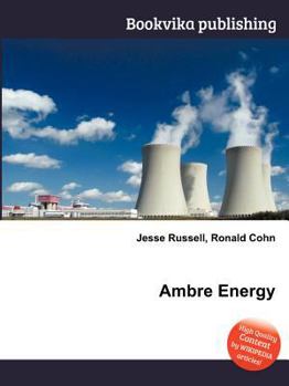 Paperback Ambre Energy Book