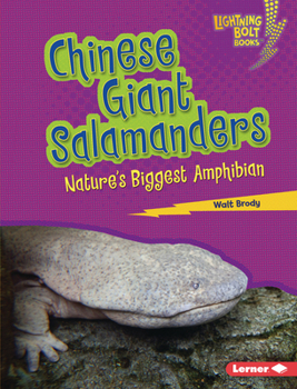 Library Binding Chinese Giant Salamanders: Nature's Biggest Amphibian Book