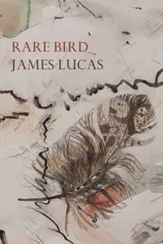 Paperback Rare Bird Book