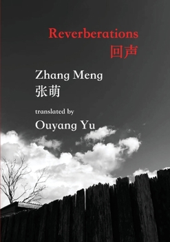 Paperback Reverberations Book