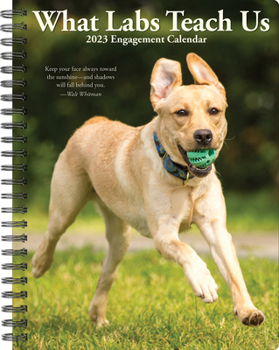 Calendar What Labs Teach Us 2023 Engagement Calendar Book