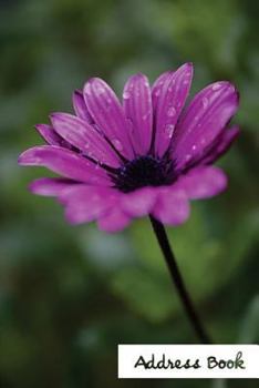 Address Book.: (Flower Edition Vol. C68) Glossy And Soft Cover, Large Print, Font, 6" x 9" For Contacts, Addresses, Phone Numbers, Em