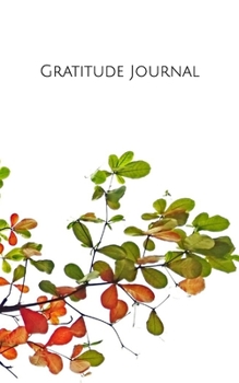 Paperback Daily Gratitude Journal Book